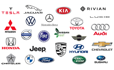 Agrupación de fabricantes de vehículos que venden vehículos eléctricos