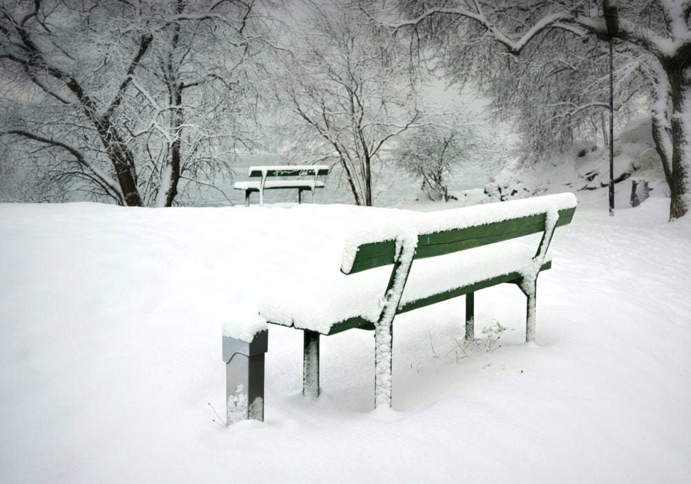 Pedestal de alimentación junto al banco cubierto de nieve
